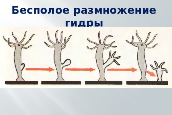 Как зайти на кракен даркнет