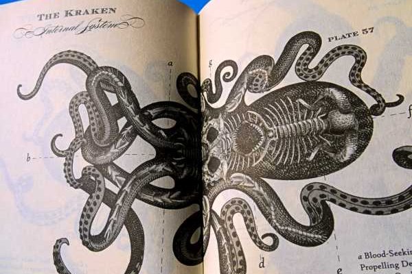 Кракен вход krakens13 at