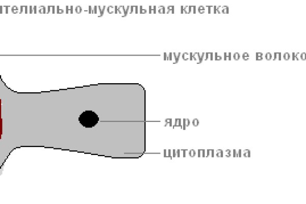 Значок кракена маркетплейса