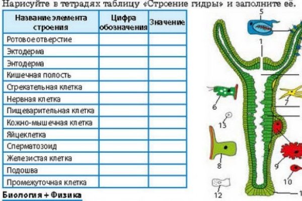 Кракен тор ссылка онион