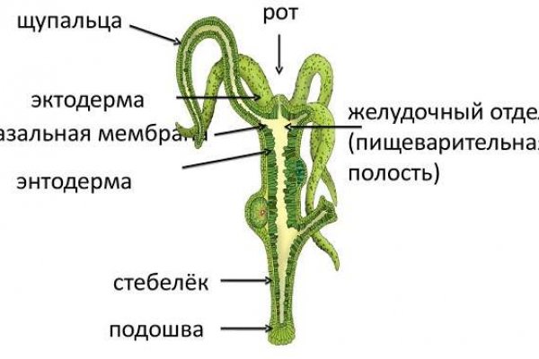 Kraken зеркало стор