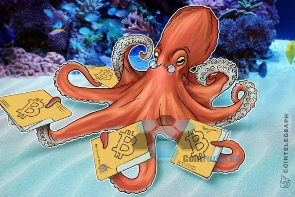 Kraken 24 at